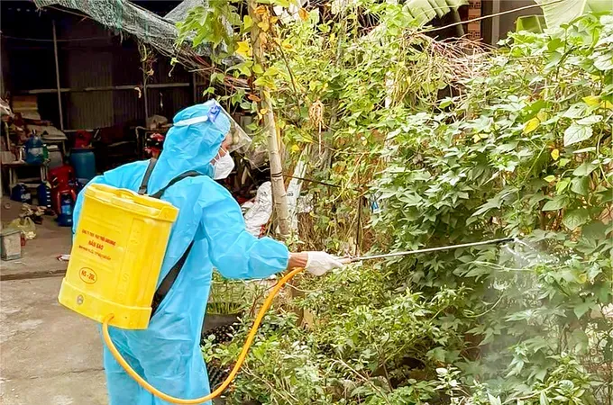Dengue fever outbreaks breaking usual patterns
