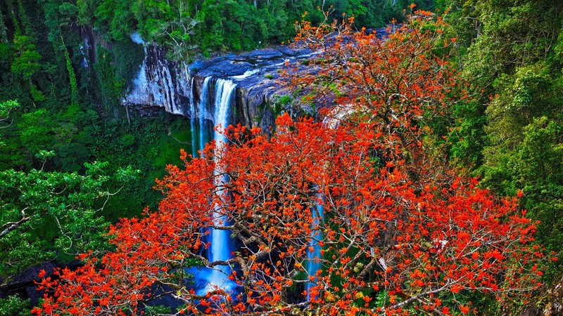 Hang En waterfall draws visitors with blooming silk cotton trees