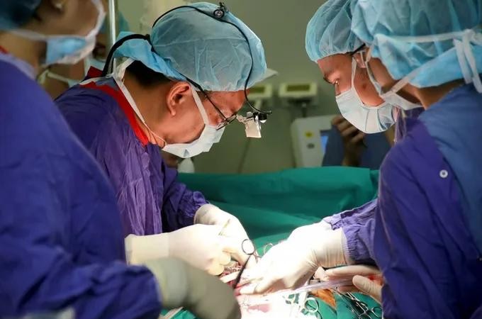 Health Ministry orders crackdown on unauthorized organ and tissue coordination