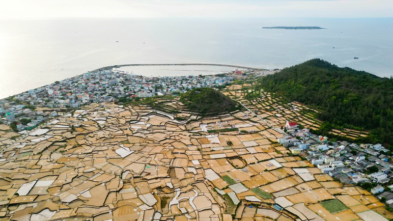 Ly Son’s ancient heritage nurtures famed shallot and garlic tradition
