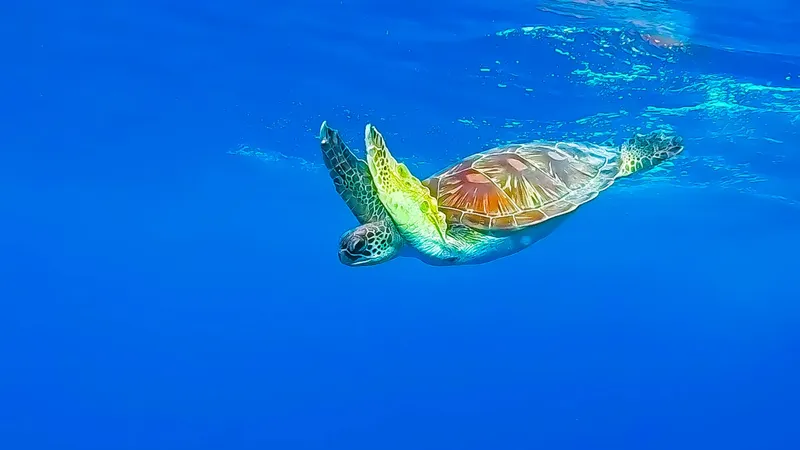 Marine conservation to be strengthened to protect livelihoods and blue economy