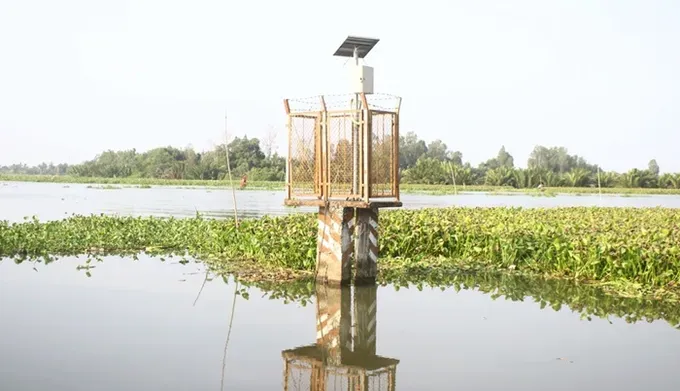 Heatwave triggers localized salinity intrusion in Mekong Delta