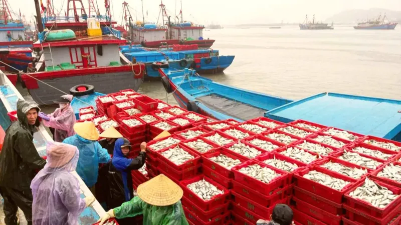 Fishermen brave challenges, come back with bountiful catches