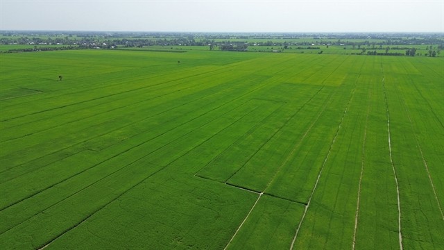 State loan subsidies to be tied to environmental standards