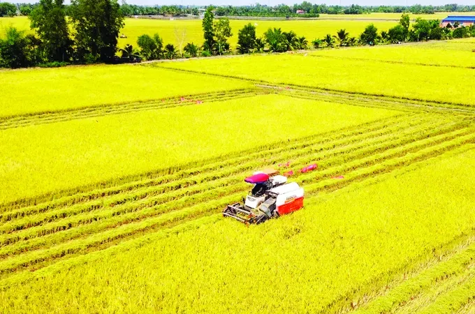 Vietnamese agricultural products gain greater access to Chinese market