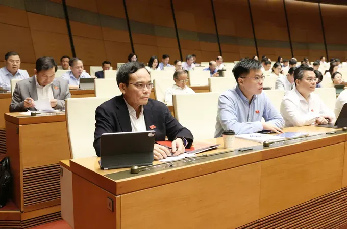 Vietnam moves to establish corps of lawyers to protect state interests