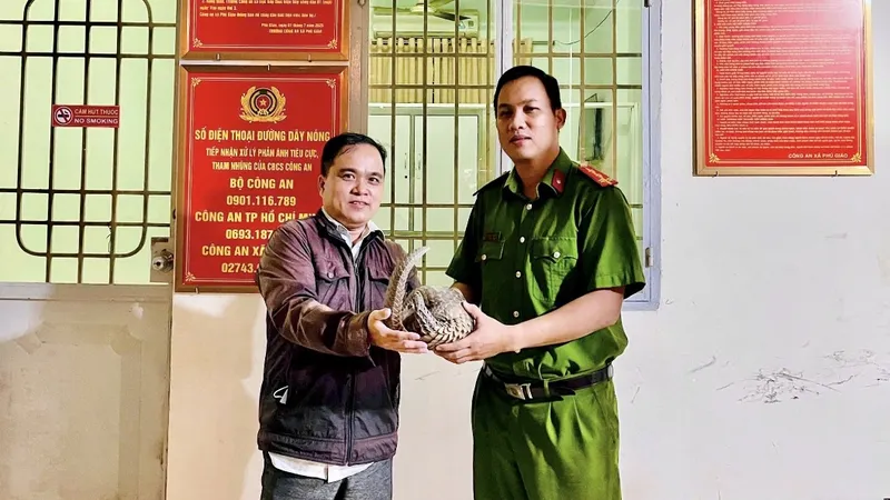 Người dân giao nộp tê tê bò trên đường