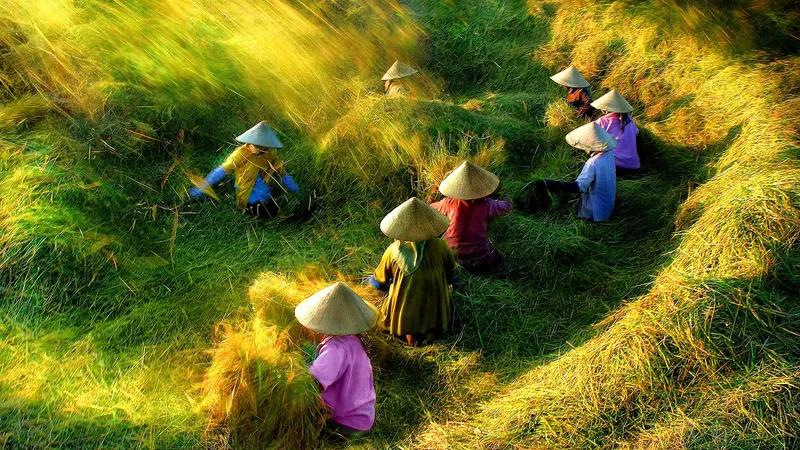Tác phẩm "Nhịp điệu ngày mùa"