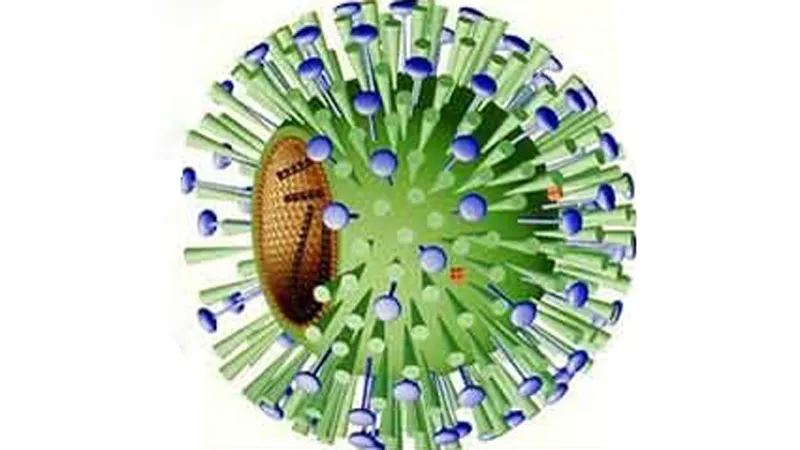 Virus cúm B. Ảnh minh họa
