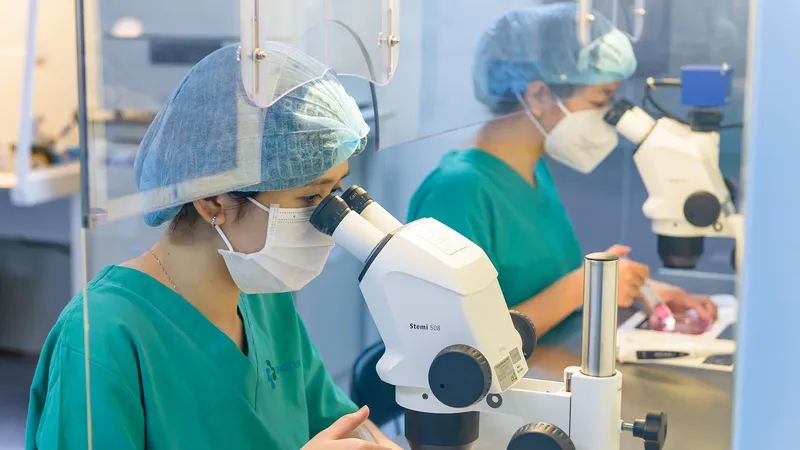 Chuyên viên phôi học đang thực hiện thao tác tìm trứng trong phòng lab