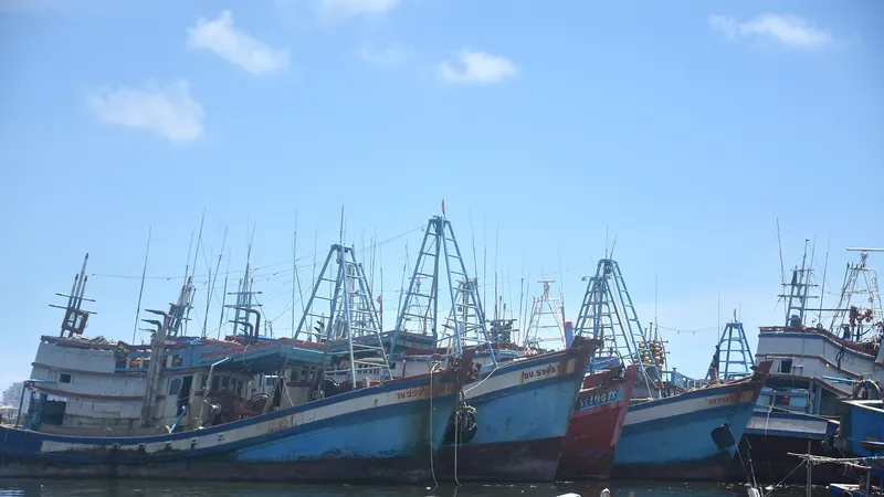 Tàu cá ngư dân TPHCM neo đậu tại khu vực Sao Mai, phường Vũng Tàu