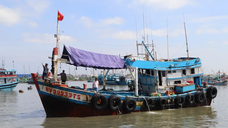 Tàu cá cập cảng Incomap, phường Vũng Tàu bốc thủy sản lên bờ