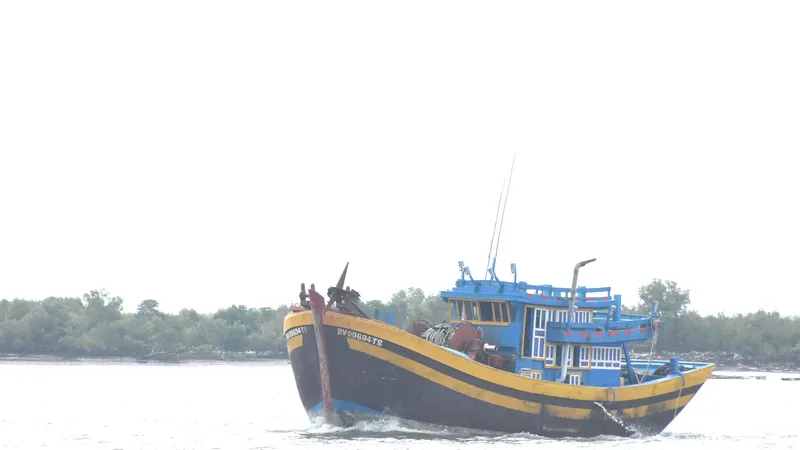 Tàu cá của ngư dân TPHCM đánh bắt xa bờ vươn khơi