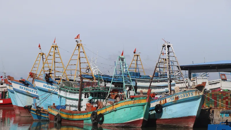 Tàu cá đánh bắt xa bờ của ngư dân TPHCM neo đậu tại cảng cá Cát Lở, phường Phước Thắng, TPHCM