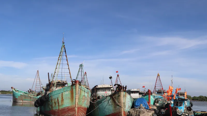 Tàu cá không đủ điều kiện hoạt động của xã Long Hải đang tập trung tại ụ tàu Lứa Bạn (ấp Phước Thái, xã Long Hải) để quản lý