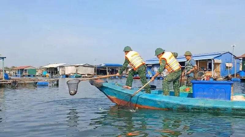 Vớt cá chết trôi dạt trên sông Chà Và
