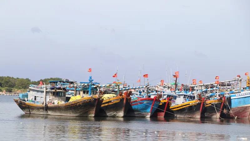 TPHCM tăng cường xử lý các hành vi vi phạm liên quan đến mất kết nối, vô hiệu hóa hoặc không duy trì hoạt động của thiết bị VMS trên tàu cá