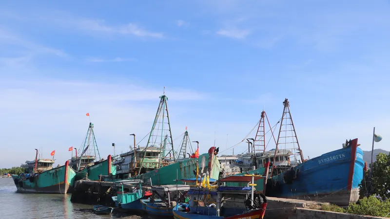 Xã Long Hải là địa phương nhiều tàu cá chưa đủ điều kiện hoạt động nhiều nhất TPHCM.