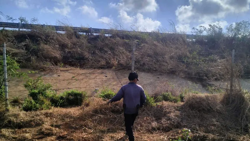 Thực hiện việc gia cố hàng rào thép gai nhằm ngăn gia súc xâm nhập vào hành lang an toàn giao thông cao tốc Biên Hòa - Vũng Tàu