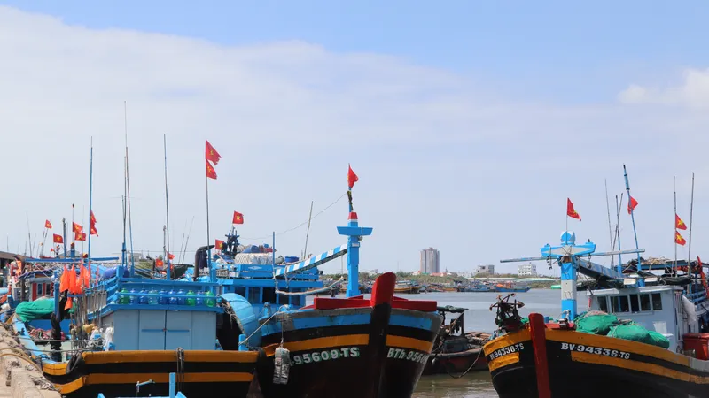 Tàu cập cảng Hưng Thái, xã Long Hải bốc dỡ thủy sản