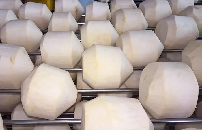 Xây dựng nhà máy dừa tươi công suất 25 triệu trái/năm