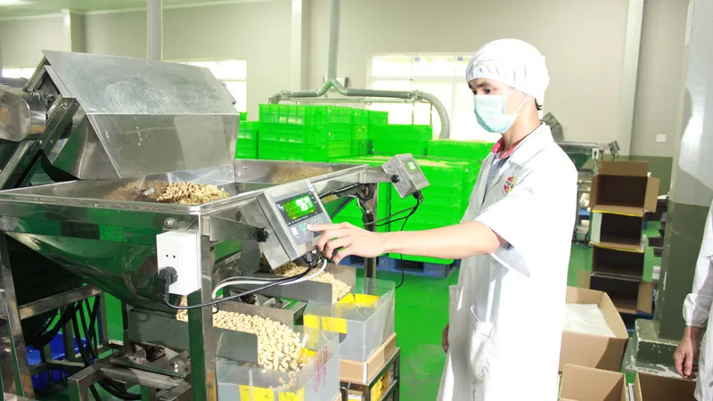 Năm 2019 ngành điều xuất khẩu đạt 3,6 tỷ USD