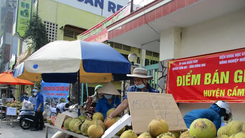 Bưởi Đồng Nai được người dân TPHCM “giải cứu”