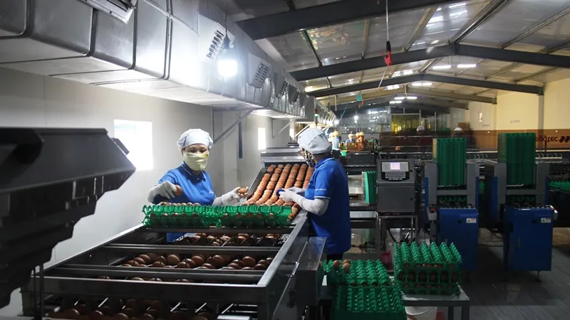 Agribank “sát cánh chung vai” cùng doanh nghiệp, doanh nhân khôi phục, phát triển nền kinh tế đất nước