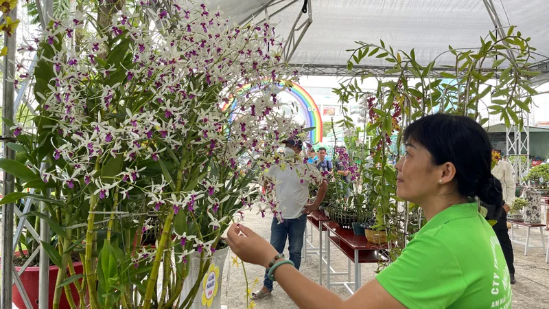 Nông dân trồng lan và cây kiểng gặp gỡ trong Hội chợ, triển lãm sản phẩm nông nghiệp tiêu biểu TPHCM 