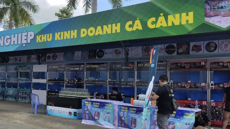 Xây dựng chợ cá cảnh kết hợp với du lịch