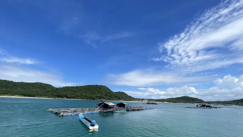 Các địa phương thực hiện các khuyến cáo của EC để chuẩn bị kiểm tra IUU