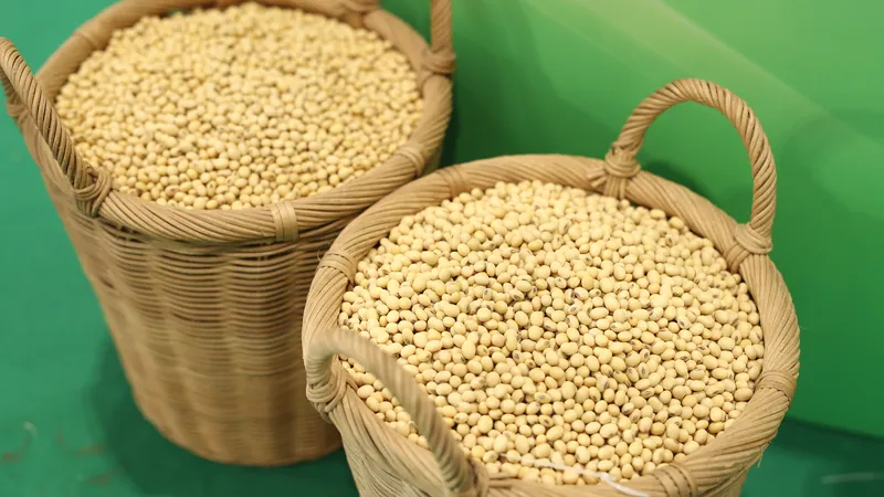 Sử dụng thực vật nhiều có lợi cho sức khỏe