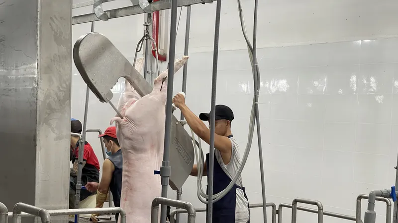 Kiểm tra đột xuất nhà máy giết mổ heo
