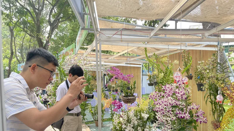 Festival Hoa lan TPHCM trở lại sau 4 năm tạm hoãn do dịch Covid-19