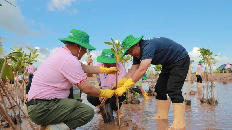Khởi động dự án trồng cây bảo vệ đa dạng sinh học tại trang trại nuôi tôm C.P. Việt Nam