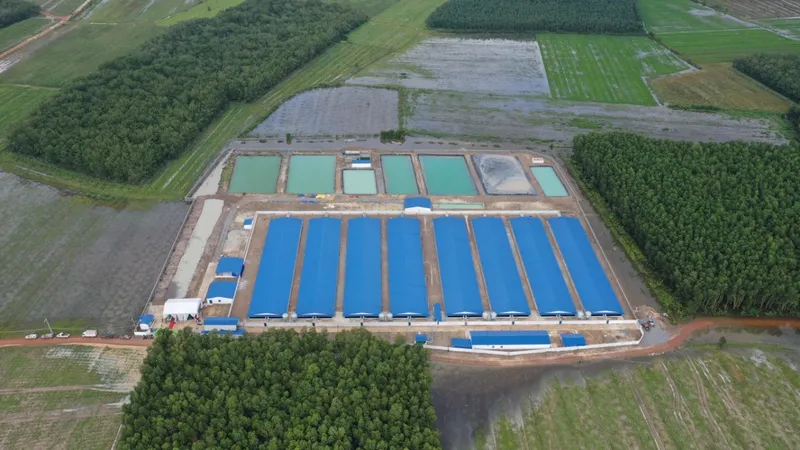 Thêm 10.000 con heo cung ứng thị trường TPHCM dịp tết