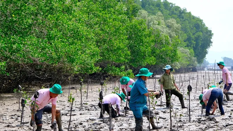 C.P. Việt Nam trồng 3,2ha rừng ngập mặn tại tỉnh Đồng Nai