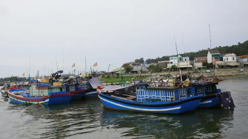Cảng Sa Kỳ, khu vực ra vào của các tàu cá. Ảnh: NGUYỄN TRANG