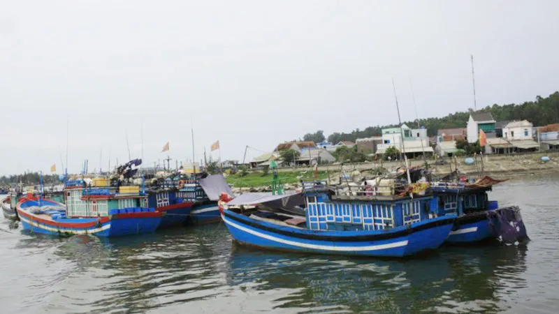 Cảng Sa Kỳ, khu vực ra vào của các tàu cá. Ảnh: NGUYỄN TRANG