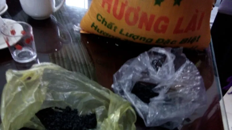 Gạo hỗ trợ cho dân vùng lũ bị nghi gạo giả