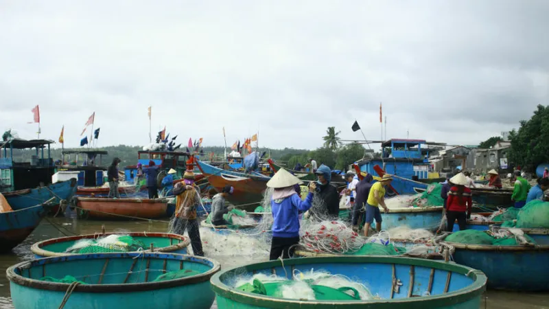 Một sáng ở làng chài Phước Thiện