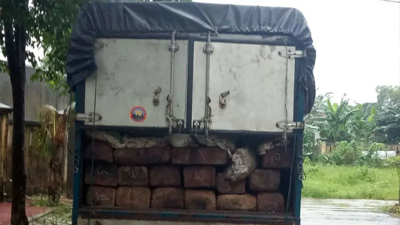 gỗ lậu ngụy trang dưới bao phân bốc mùi