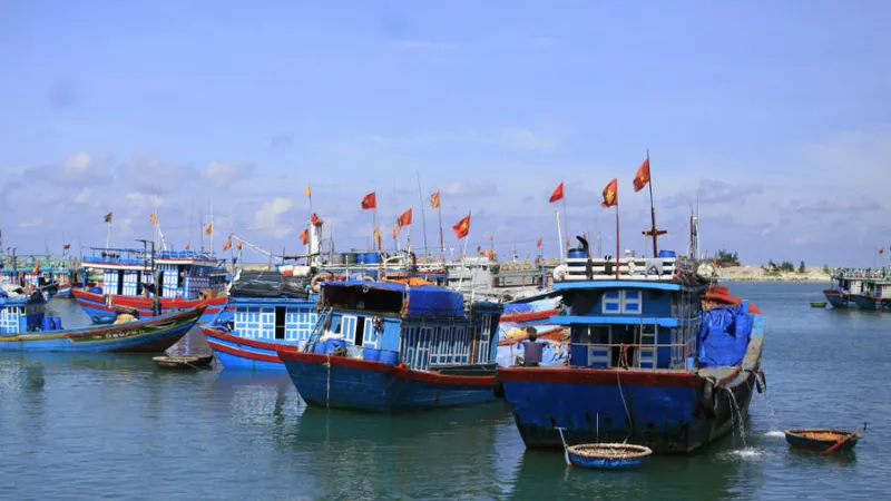 Tàu cá neo đậu cảng Lý Sơn