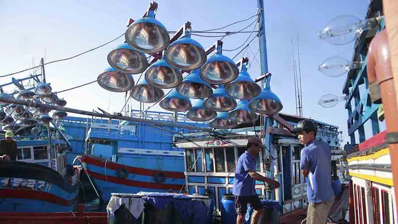Tàu thuyền Quảng Ngãi về bến