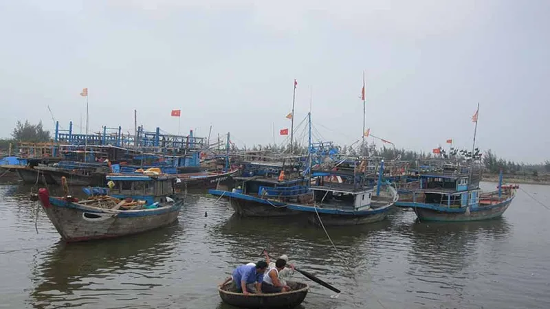 Tàu thuyền neo đậu nơi an toàn