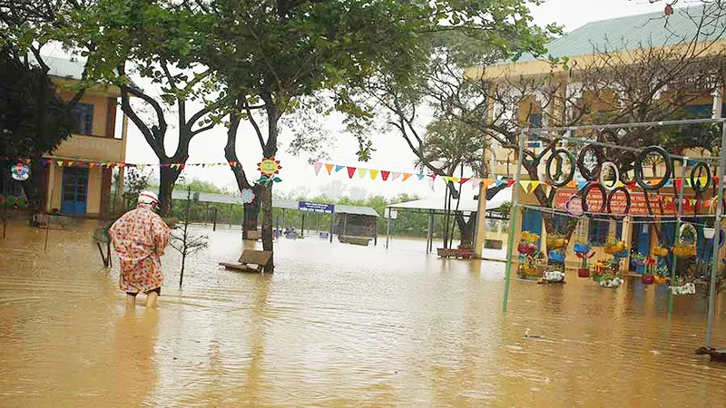 Quảng Ngãi: Mưa lớn làm thiệt hại nhiều diện tích rau màu, hơn 1.060 căn nhà bị ngập