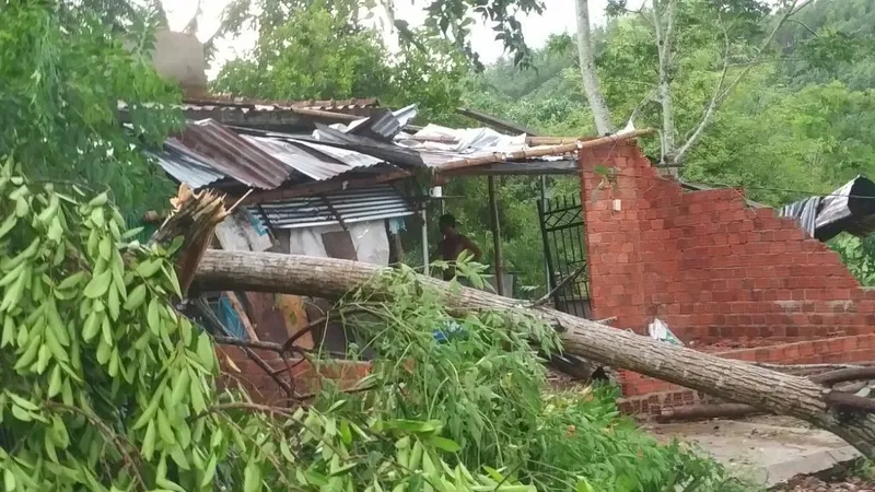  Mưa lốc khiến cây cối ngã đổ sập tường nhà dân, tốc mái tôn ở xã Sơn Trung, huyện Sơn Hà.