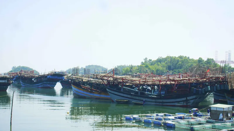 Quảng Ngãi: Ngư dân rơi xuống biển mất tích