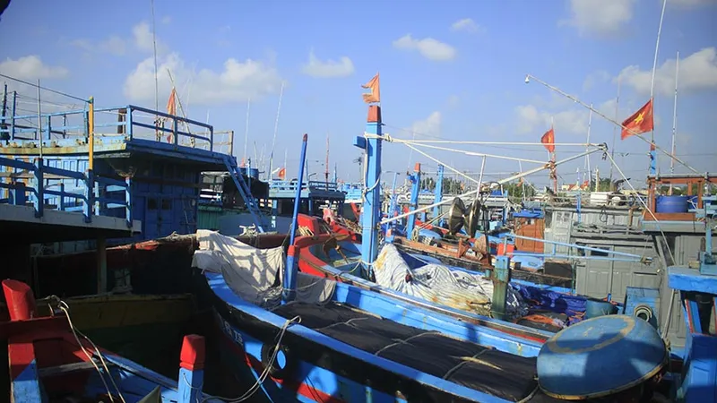 Sau bão số 6, trời đã hửng nắng, nhiều tàu cá vẫn chưa thể xuất bến do bị mắc kẹt giữa “trùng vây” tàu cá cũng đang neo đậu.