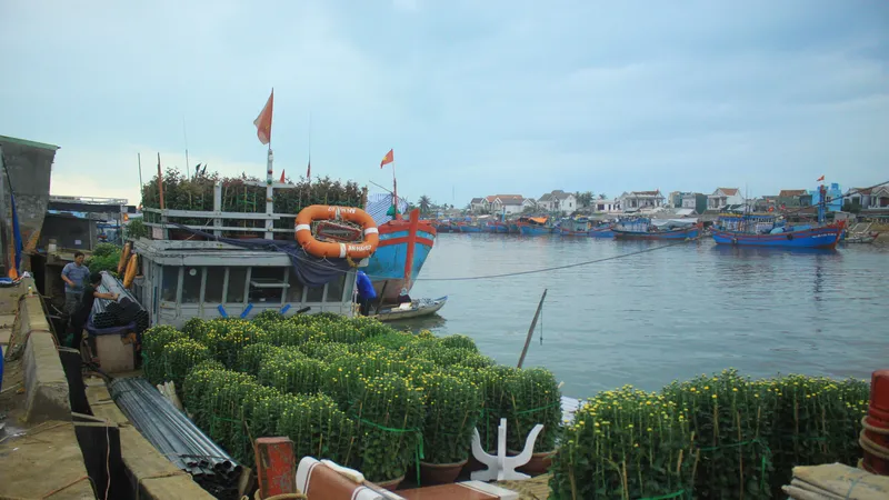 Những chuyến tàu “chở tết” ra đảo Lý Sơn